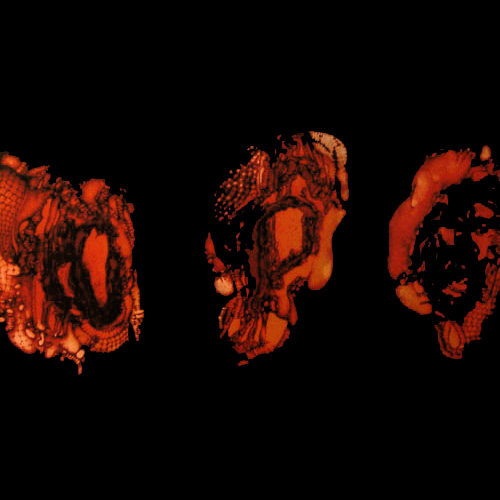 Deathspell Omega (Fra.) 