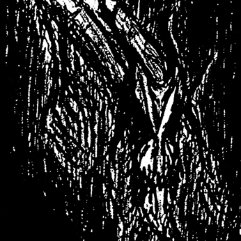 Vlad Tepes (Fra.) 